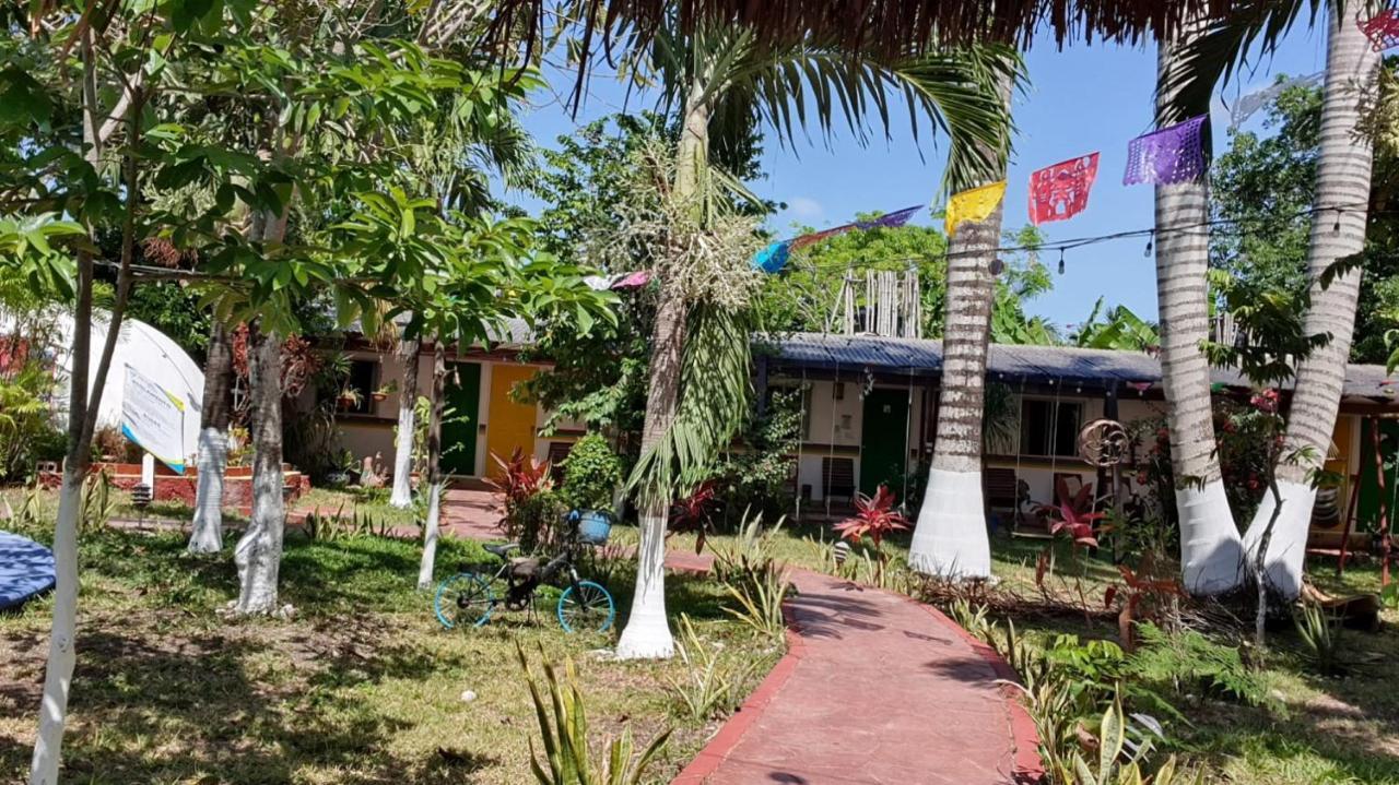 Cabanas Colibri 巴卡拉尔 外观 照片