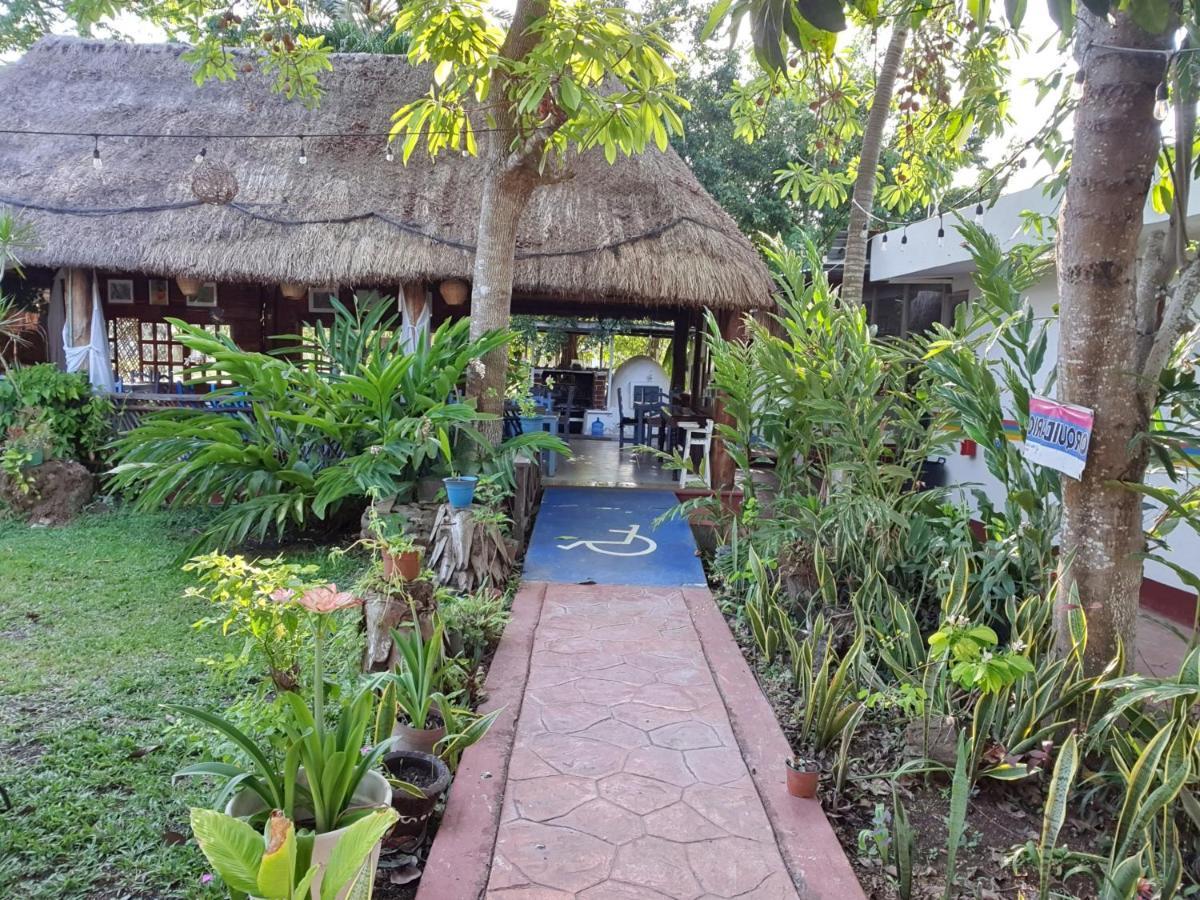 Cabanas Colibri 巴卡拉尔 外观 照片