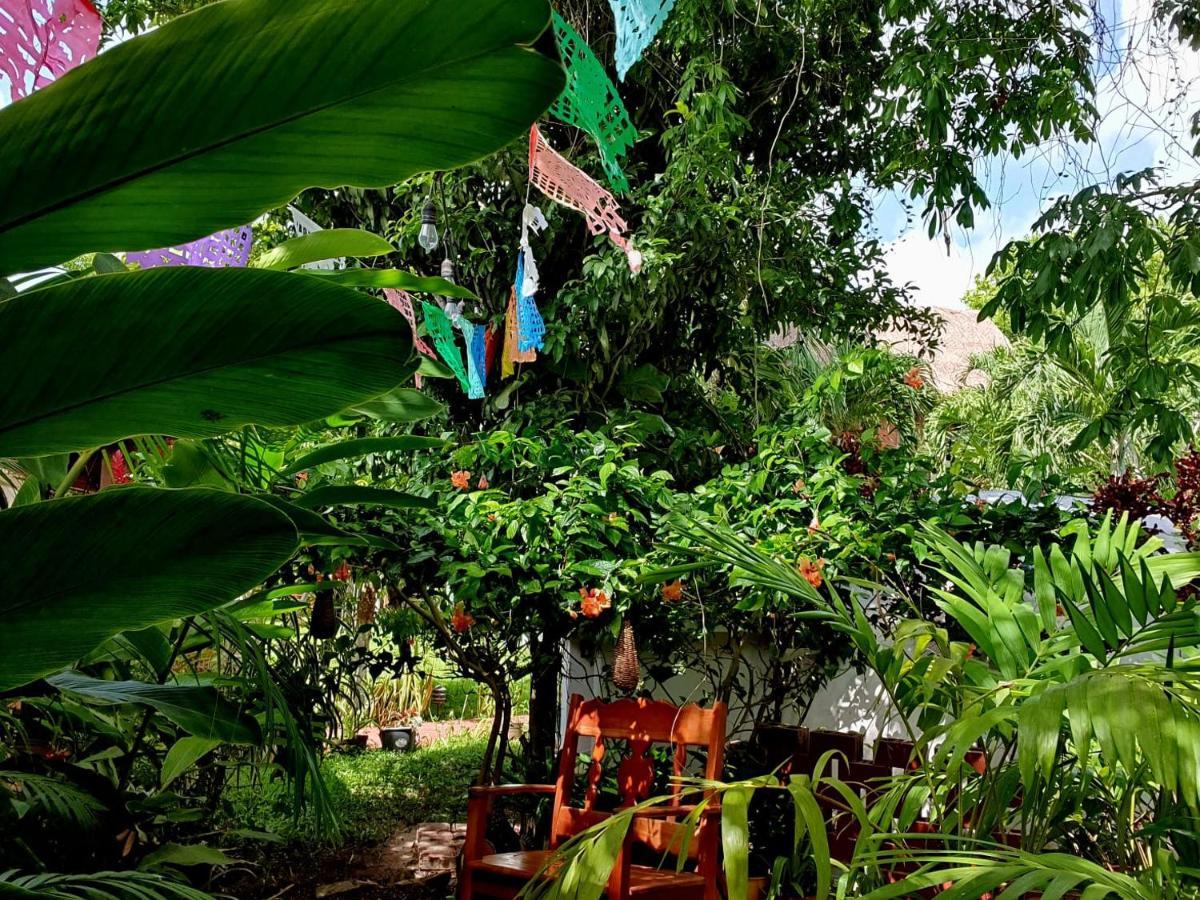 Cabanas Colibri 巴卡拉尔 外观 照片
