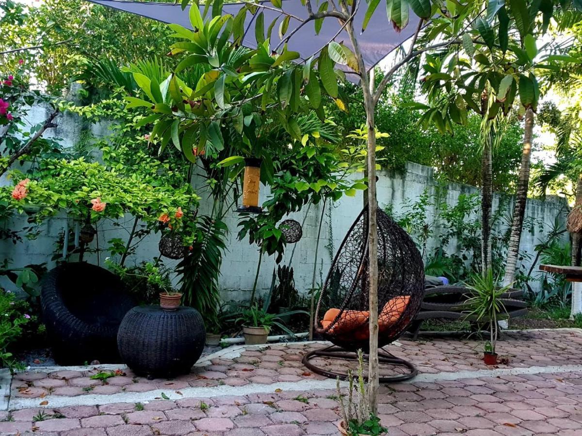 Cabanas Colibri 巴卡拉尔 外观 照片