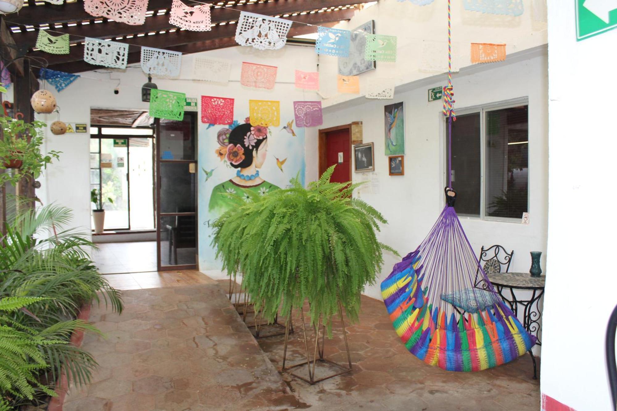 Cabanas Colibri 巴卡拉尔 外观 照片