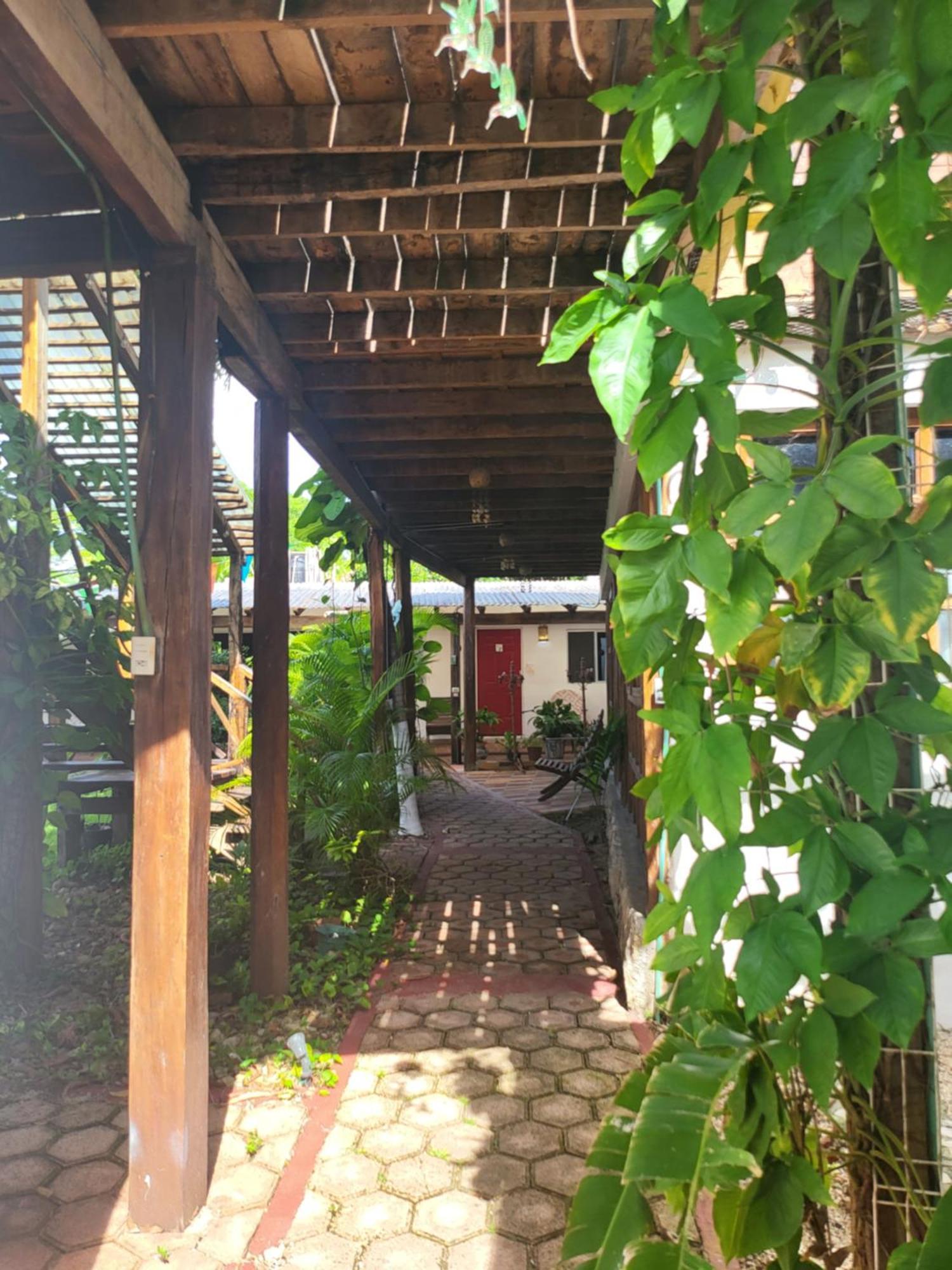 Cabanas Colibri 巴卡拉尔 外观 照片